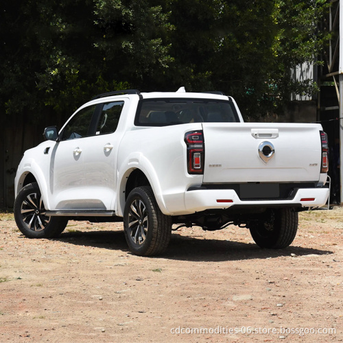 Новый автомобиль Changcheng Great Wall Poer EV Грузовик бензин Китай Производитель электрический спортивный автомобиль